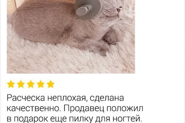 Кракен даркнет войти