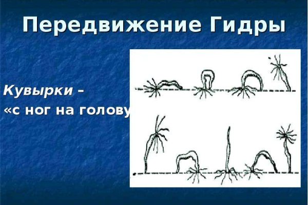 Кракен зон