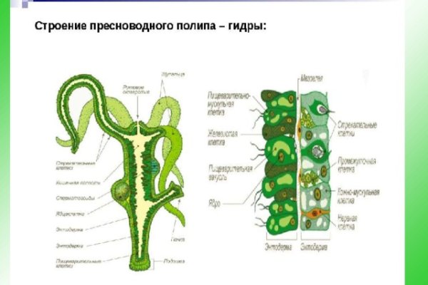 Кракен площадка вход