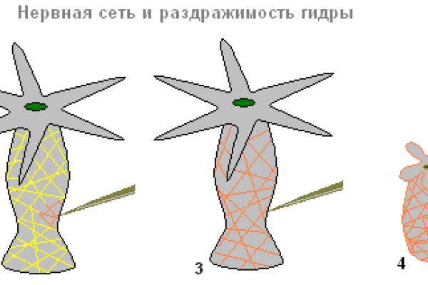 Kraken рынок