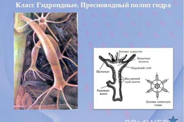 Кракен даркнет регистрация