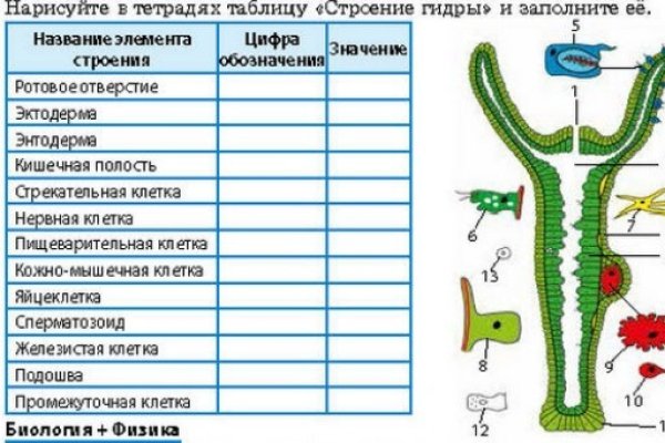 Кракен что это за маркетплейс