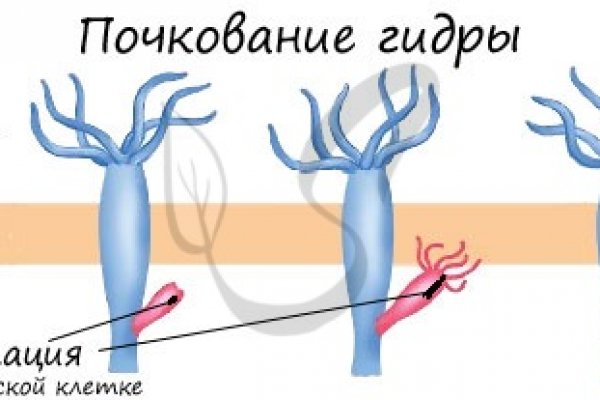 Кракен дарк оригинал ссылка