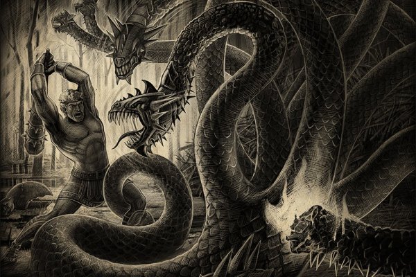 Kraken 19at