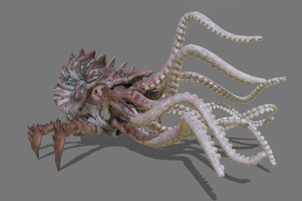 Kraken darknet kraken darknet 2n com