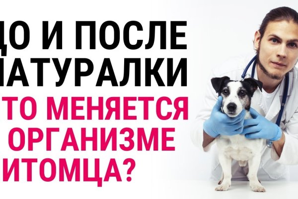 Кракен шоп что это